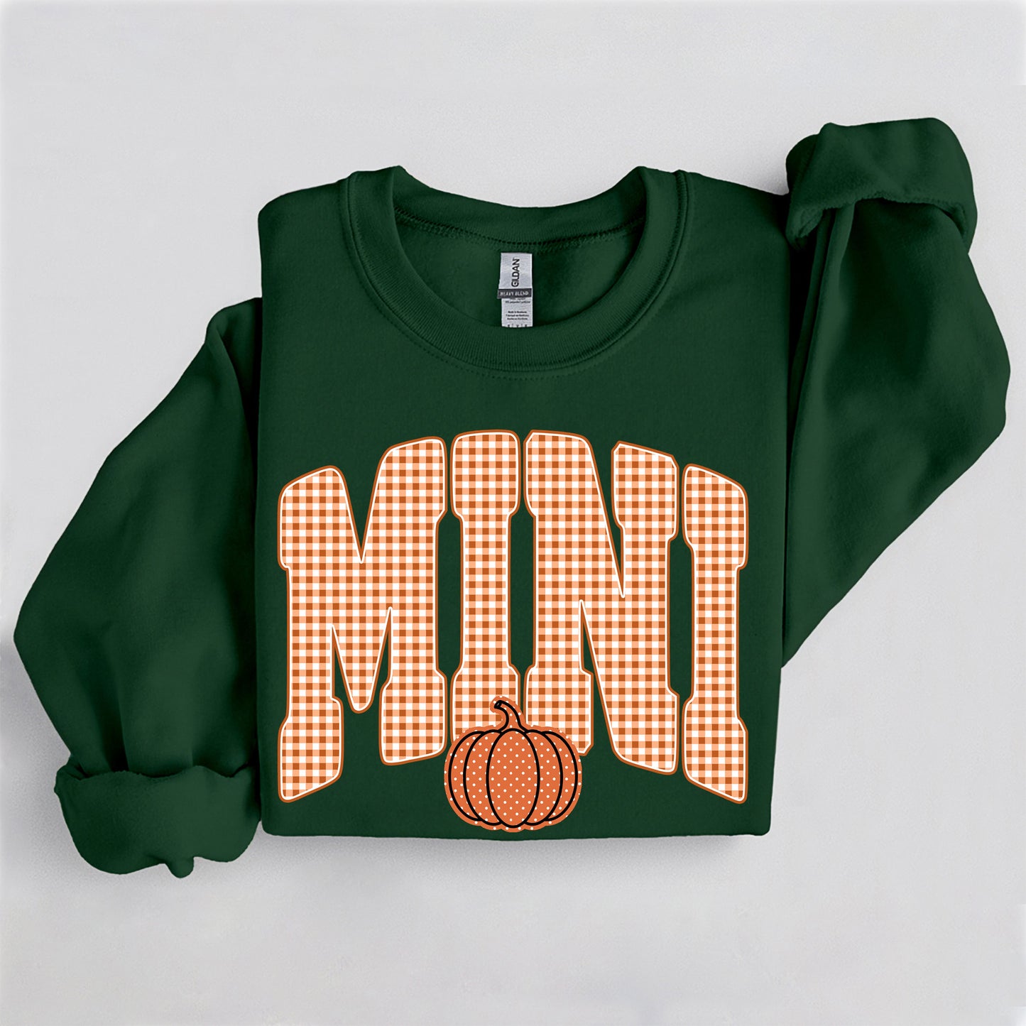 Fall Pumpkin Mini Sweatshirt, Trendy women's falls sweatshirt