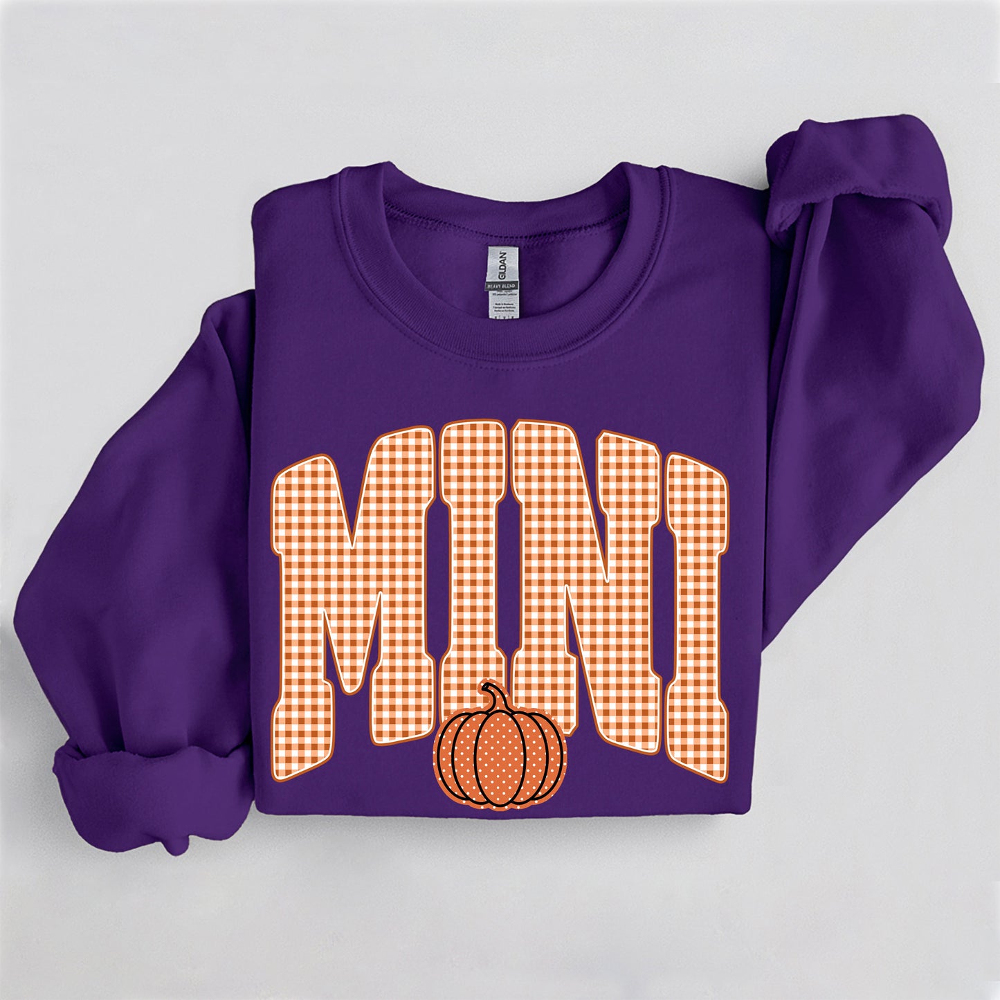 Fall Pumpkin Mini Sweatshirt, Trendy women's falls sweatshirt